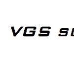 VGS Survey